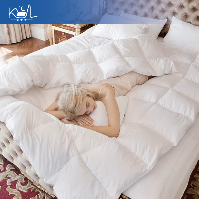 95% White Goose Down Comforter - Duvet Insert White review and price